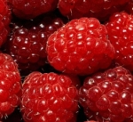 Малина садовая - Rubus idaeus hort